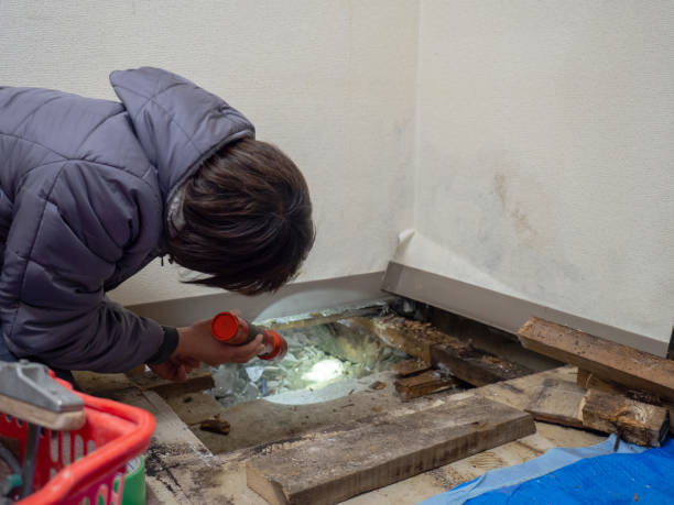 Best Residential Mold Inspection & Testing  in Hawi, HI