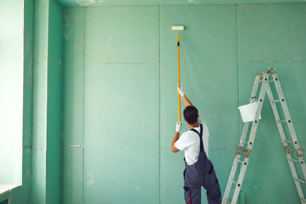 Best Emergency Mold Remediation  in Hawi, HI