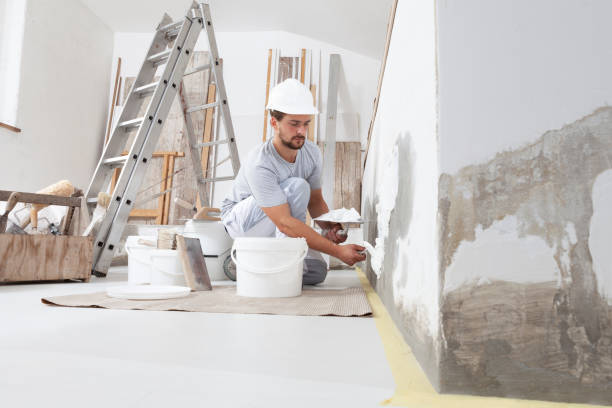 Best Mold Odor Removal Services  in Hawi, HI