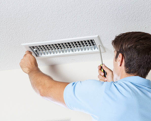 Best Commercial Mold Inspection  in Hawi, HI