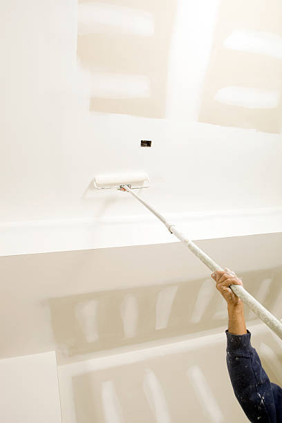 Best Mold Prevention Services  in Hawi, HI
