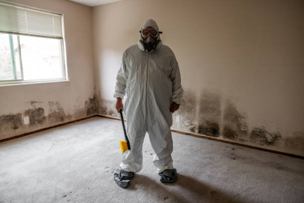 Mold Documentation for Insurance Claims in Hawi, HI