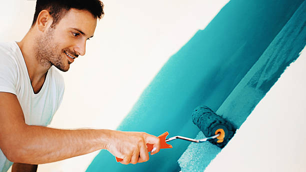 Best Comprehensive Air Testing for Mold Contaminants  in Hawi, HI