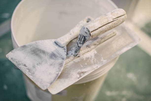 Best Emergency Mold Remediation  in Hawi, HI