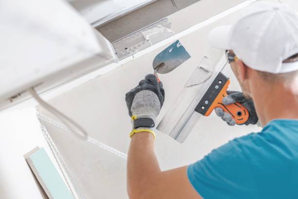 Best Asbestos and Lead Testing During Mold Inspection  in Hawi, HI